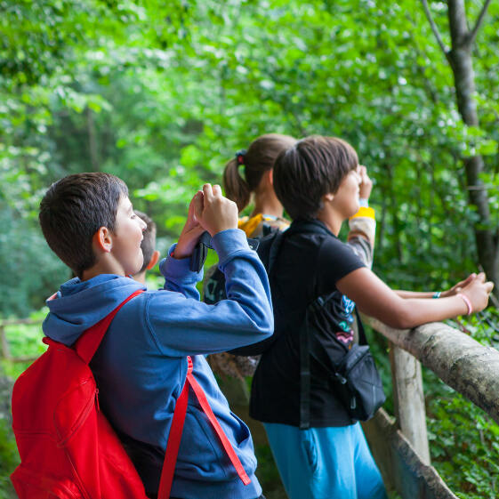 Grupo de jovenes sacando fotos en la naturaleza en una de las excursiones del campamento de verano en holanda