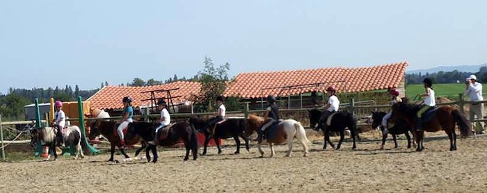 Niños practicando equitación con ponis durante un campamento de hipica España