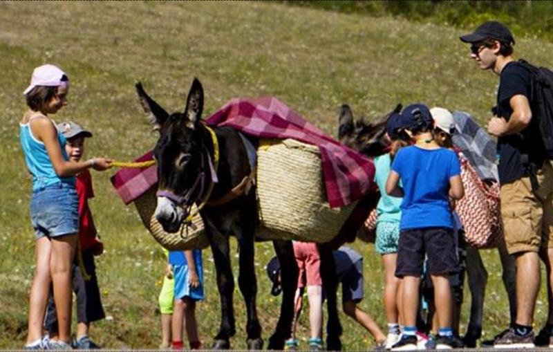niños paseando a un burro en la naturaleza del campamento de verano en francia