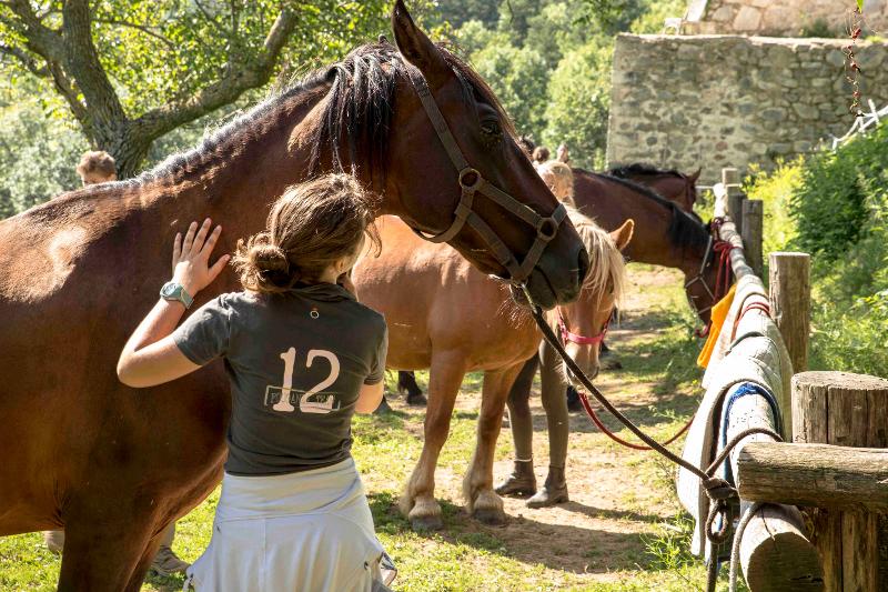 joven acariciando al caballo y preparandolo para las clases de hipica en el campamento de verano en francia