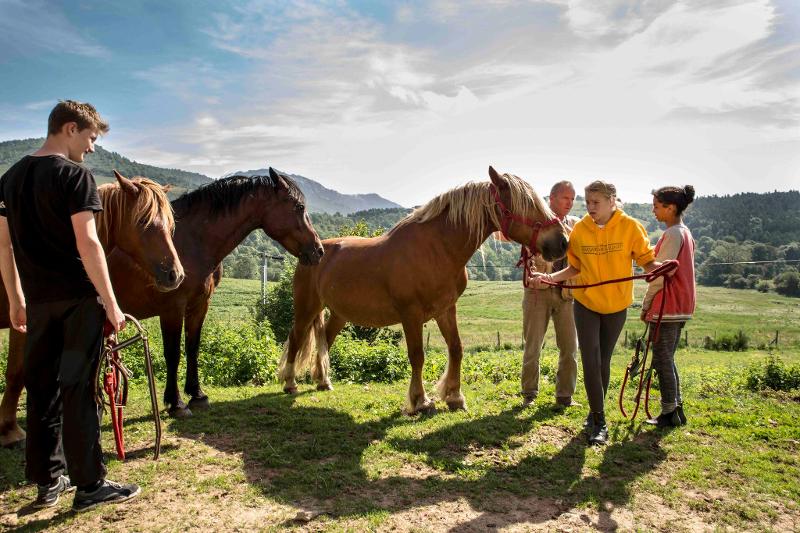 Grupo de niños paseando por la naturaleza con sus caballos del campamento de hipica en francia