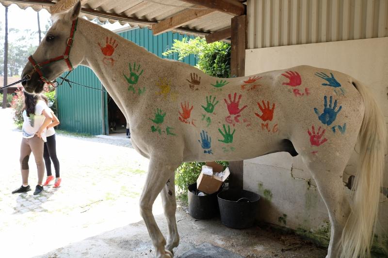 cabaño pintado con las manos de todos los alumnos de hipica del campamento de verano en portugal
