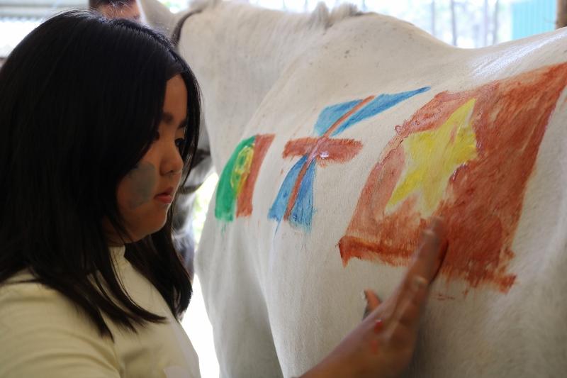 niña pintando a un caballo en el campamento de verano en portugal