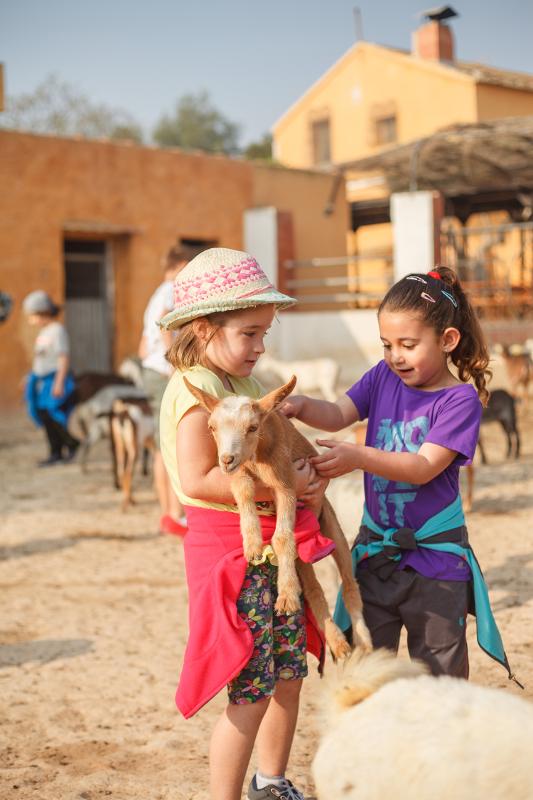Dos niñas con una cabra bebé en el curso de ingles en eeuu