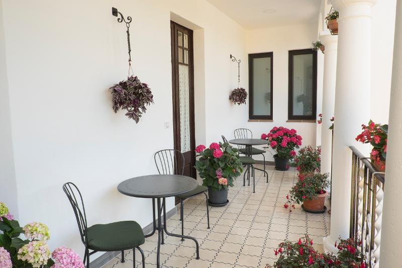 Zona de exterior con decoracion de plantas de la naturaleza en el campamento de verano en tarragona