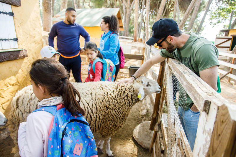 grupo de niños visitando la granja y acariciando a las ovejas del campamento granja escuela