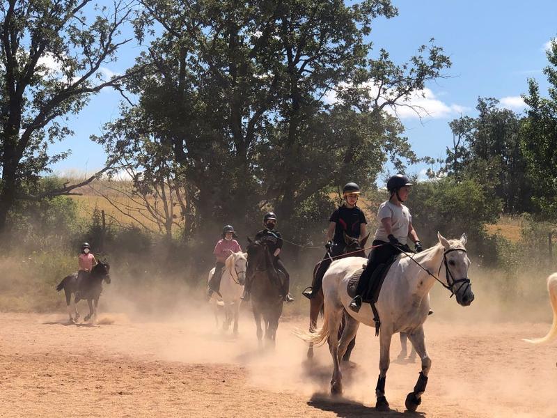 Grupo de participantes disfrutando de un entrenamiento a caballo en las pistas del campamento de equitación