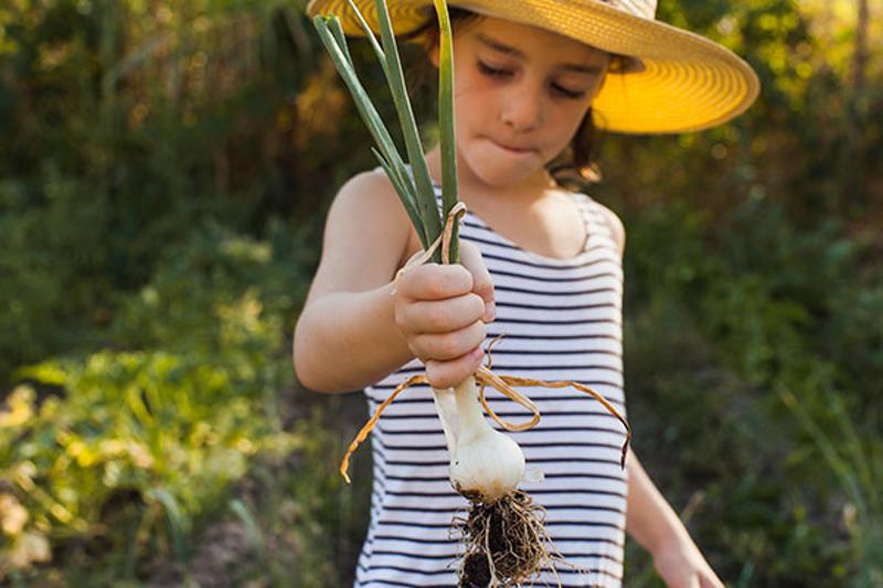 Niña con una cebolla durante sus vacaciones para niños en España