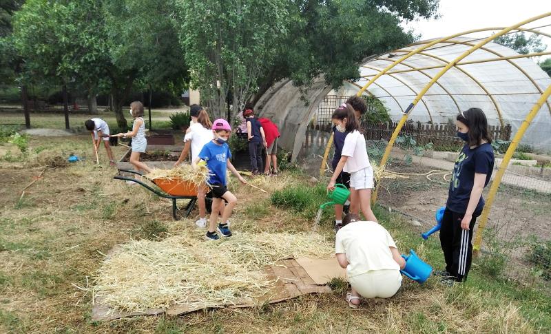 Niños aprendiendo las labores de mantenimiento de la granja en el campamento zoo
