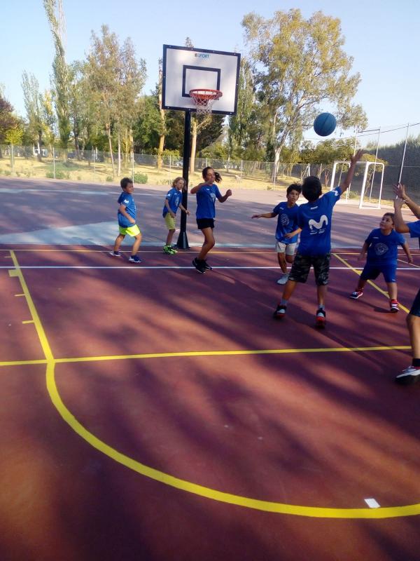 apoyo monstruo Partina City Campamento de Baloncesto para Niños en Madrid - Juvigo