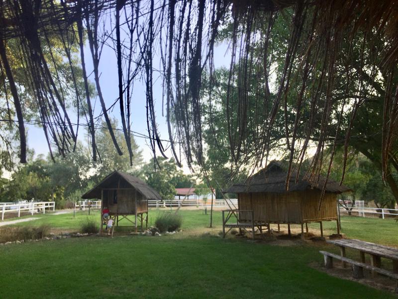 Cabañas de madera en la zona de exterior del campamento de verano en Madrid