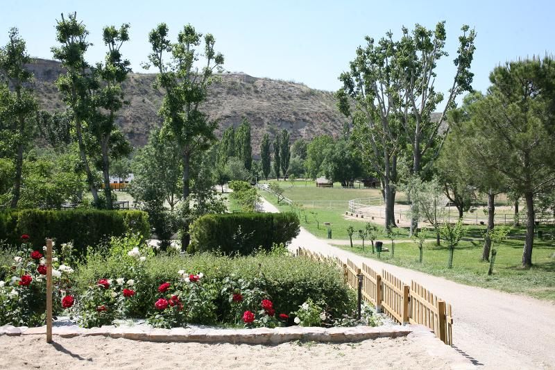 Zona de jardines del campamento en la naturaleza de Madrid