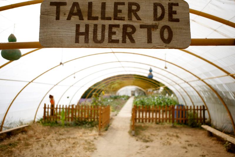 Huerto donde se realizan las actividades en la naturaleza de la granja escuela de Madrid