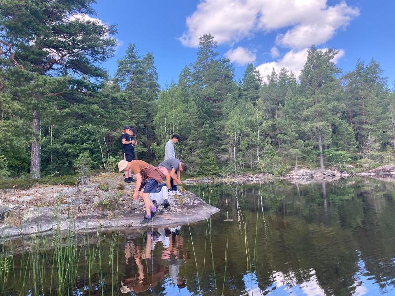 Jóvenes al lado del lado en el bosque en el campamento de verano en suecia