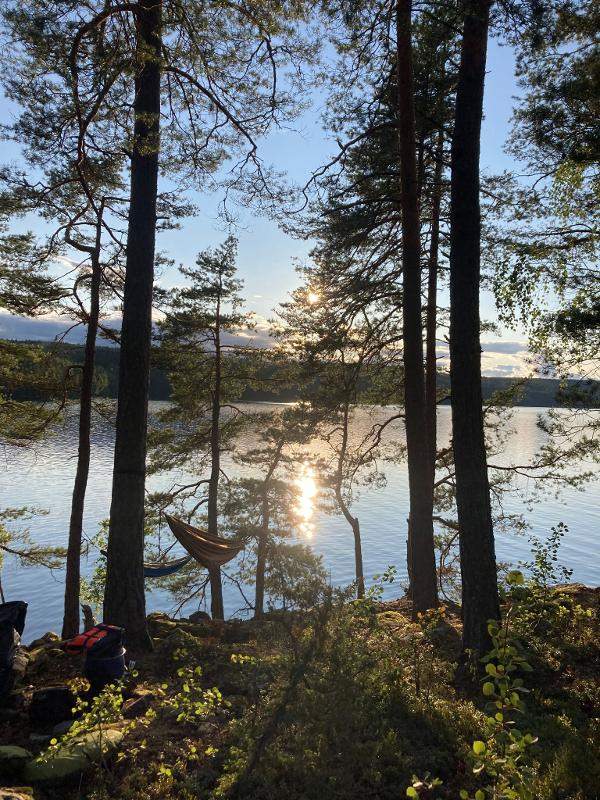 Vistas del bosque y del lago al atardecer en el campamento de verano en Suecia