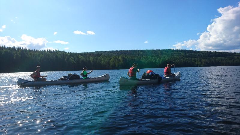 Jóvenes remando en sus canoas en el campamento de verano en suecia 