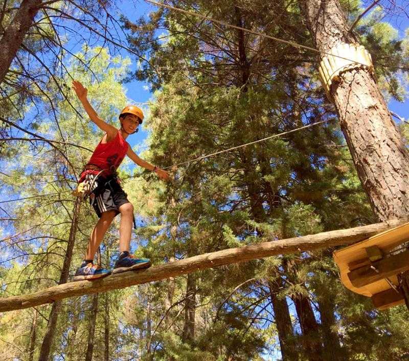 Niño haciendo el circuito de árboles en una de las actividades multiaventura que se realizan en el campamento ingles albacete