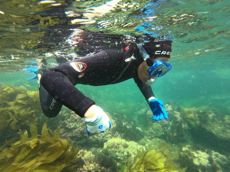 Joven buceando con su equipación de buceo en la colonia náutica