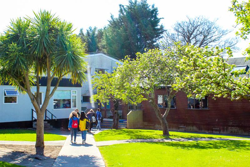 Instalaciones con árboles en los cursos de idiomas en dublin 