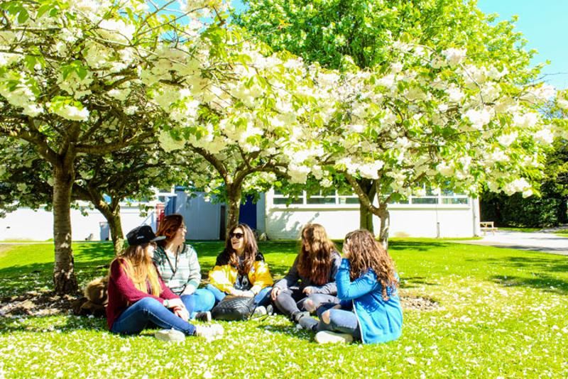 Grupo de jóvenes sentadas en el césped charlando en los cursos de idiomas en dublin 