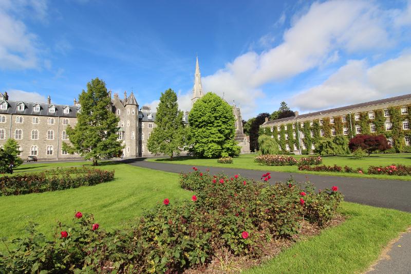 Rosales en los jardines exteriores de la Universidad de Maynooth en el curso ingles en irlanda