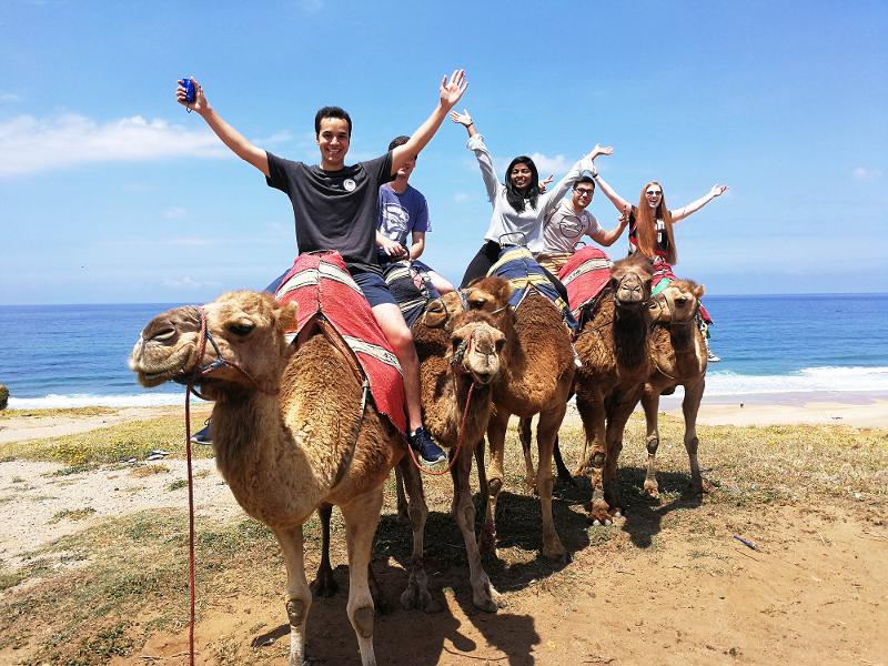 Estudiantes subidos en camellos en Marruecos en el curso de español en españa