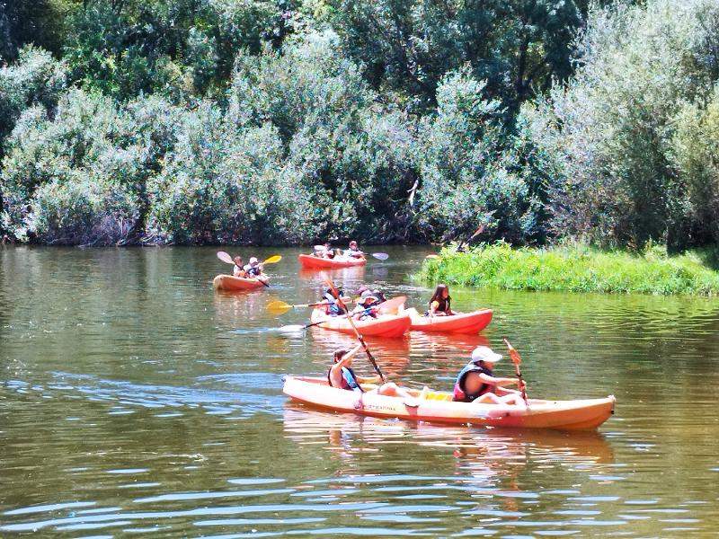 Campamentos de Supervivencia 2024 - Para niños en España - Juvigo