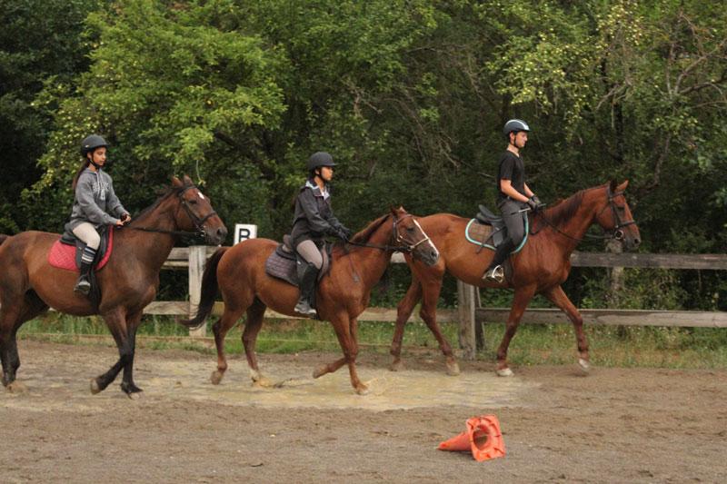 Tres chicas paseando a caballos en un campamento hipico