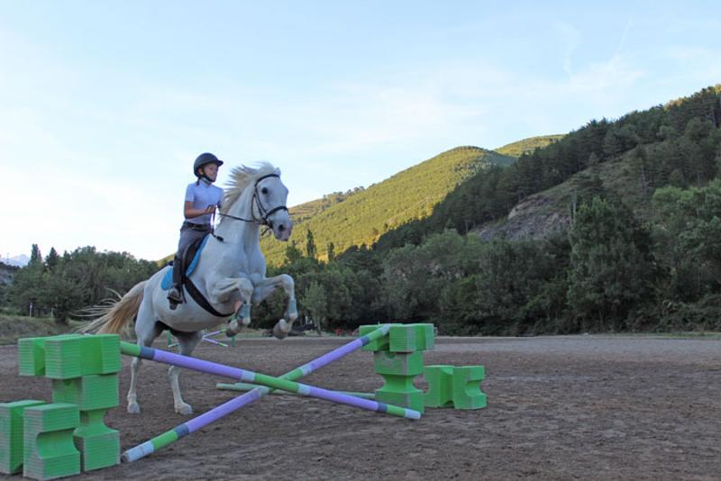 Una niña saltando obstáculos con un caballo en un campamento hipico