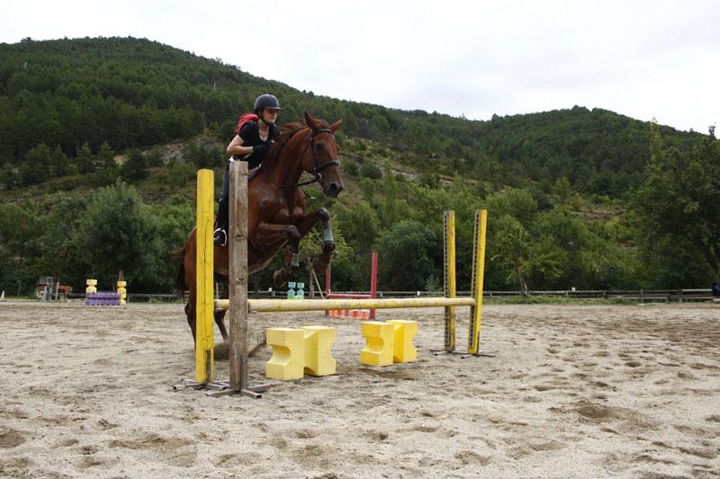 Un caballo saltando un obstáculo con una niña
