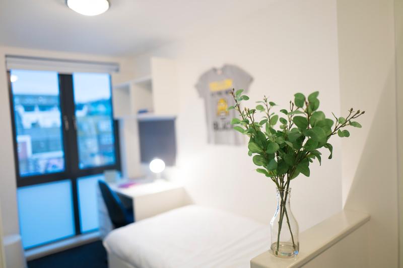 Foto de la decoración de la habitación en el curso ingles en inglaterra