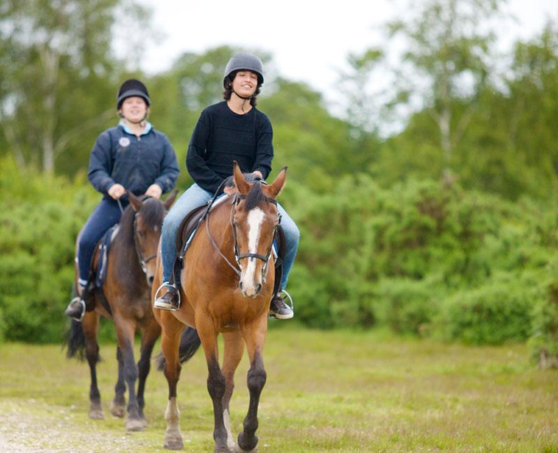 caballos en el summercamp uk