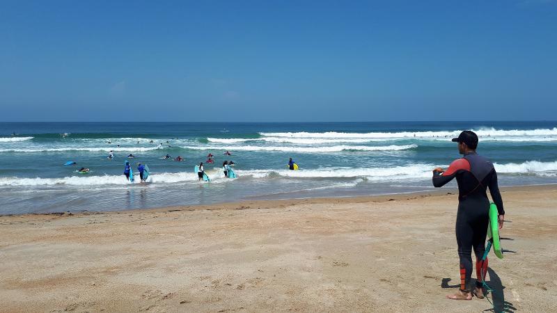 Personas practicando surf durante un curso de idiomas en francia
