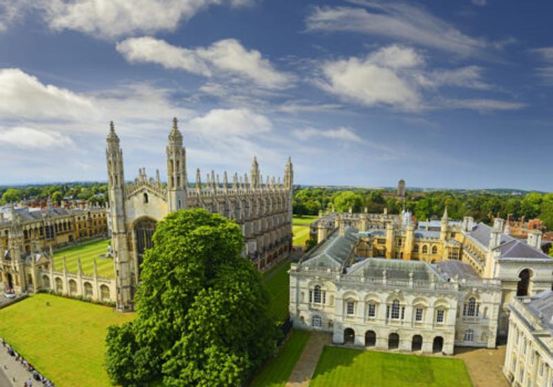 area del summer camp uk