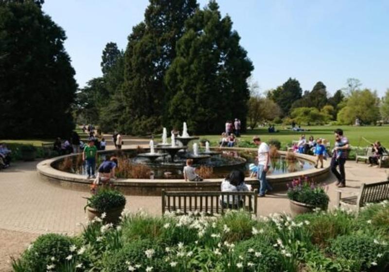 jardines del summer camp uk