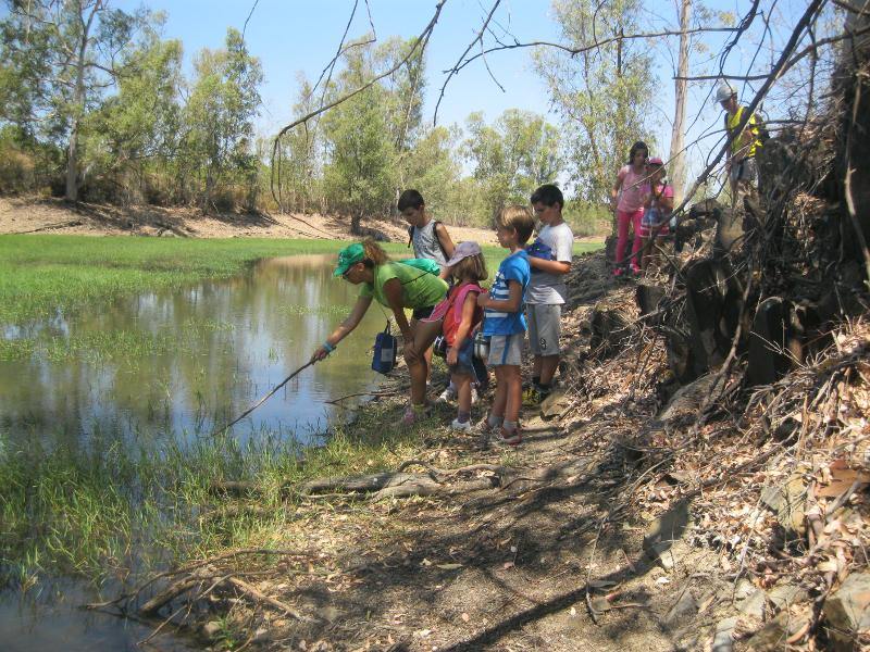 salidas en el campamento huelva