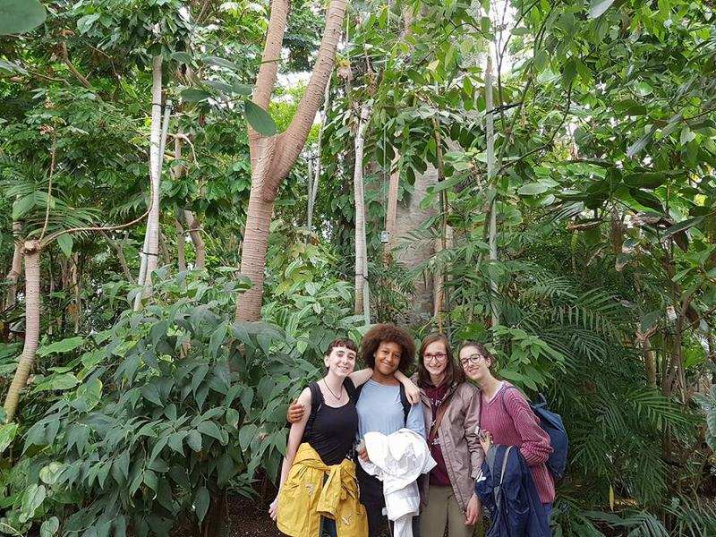 Grupo de amigos posando en mitad de la naturaleza con plantas de fondo en curso aleman alemania verano