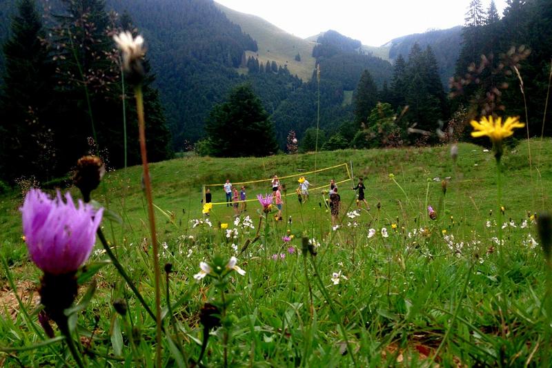 Vista general de campistas jugando al voleybol en medio del campo en una ladera con césped y vegetación con flores en curso de verano en alemania