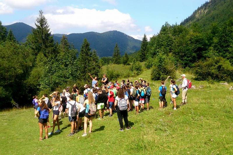 Grupo de campistas atienden a las explicaciones de un monitor que señala en la naturaleza bajo el sol en curso de verano en alemania