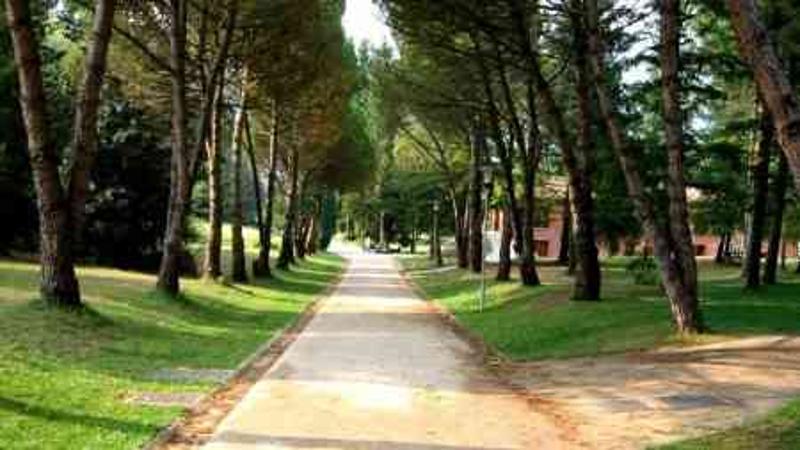 Camino exterior de un summer camp in barcelona