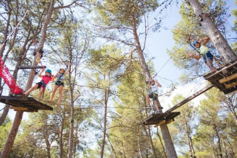 Niños jugando en los arboles en campamentos en ingles españa