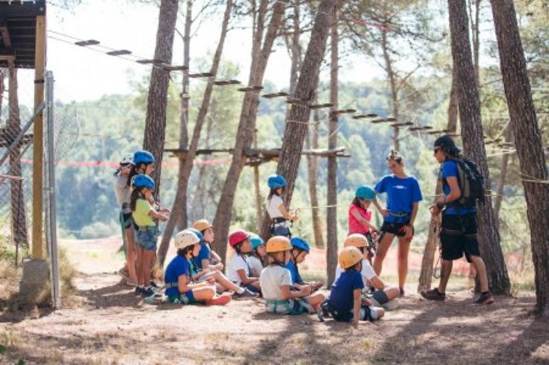 grupo de niños jugando en los arboles de los campamentos en ingles españa