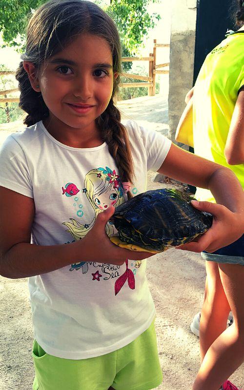 una niña agarrando a una tortuga en un campamento de verano jaen