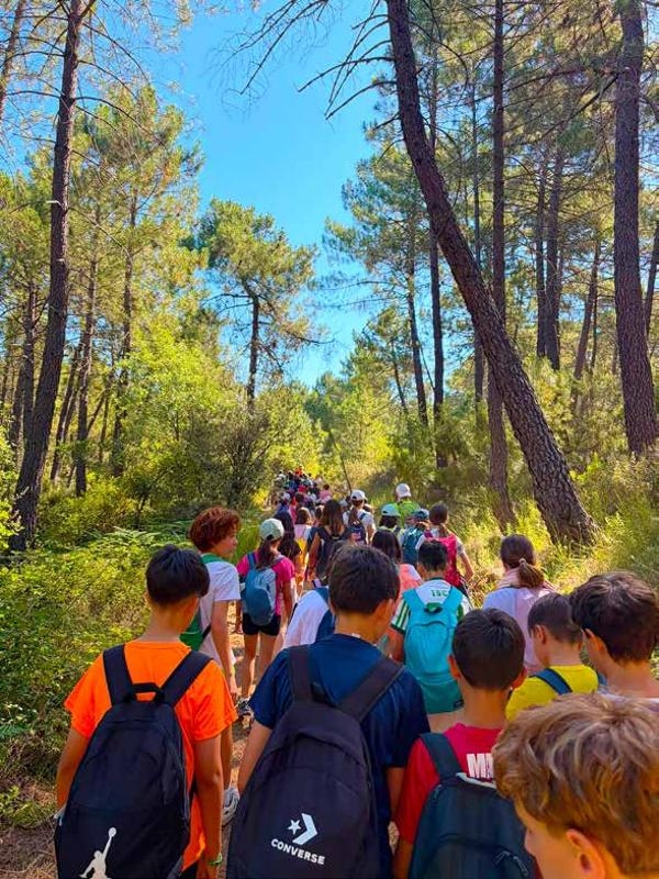 Niños haciendo senderismo en el bosque