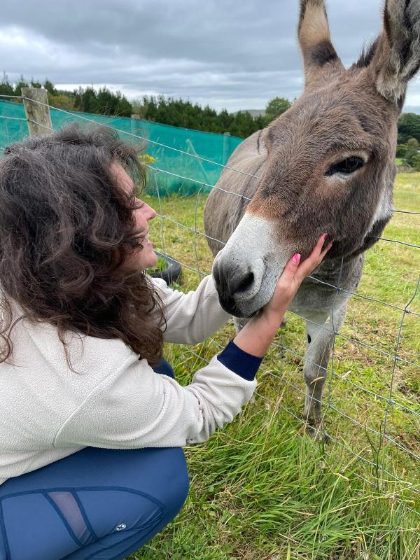 Chica acariciando a un burro en el campamento de verano en irlanda