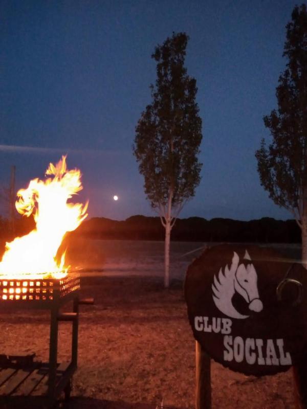 La foto de una hoguera en un campamento de verano