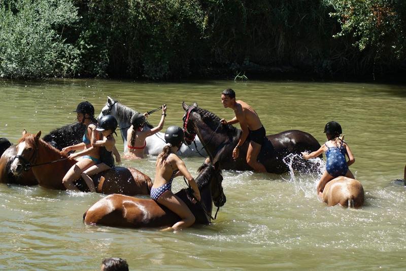 Jóvenes montando a caballo en un lago sumergidos en un campamento de verano