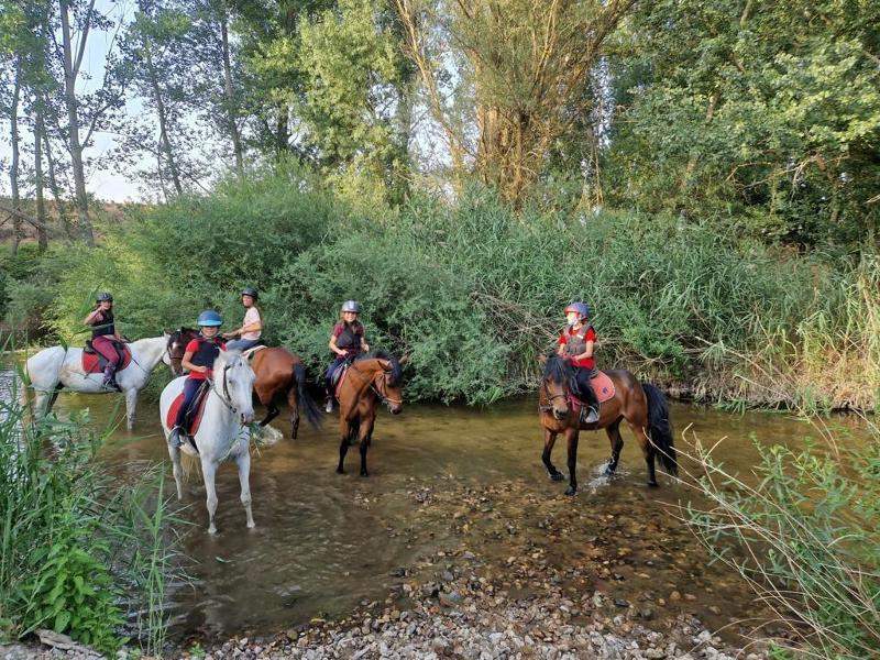 Jóvenes en sus caballos por el río en un campamento de verano