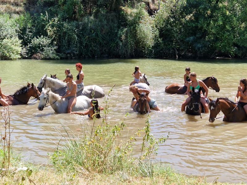 Niños bañándose encima de sus caballos en un lago en un campamento de verano
