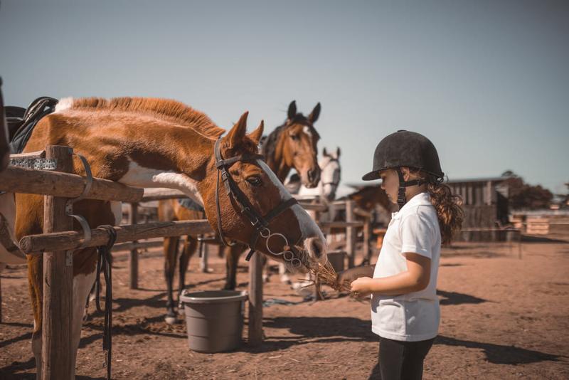 Niña con caballo en los campamentos de vacaciones